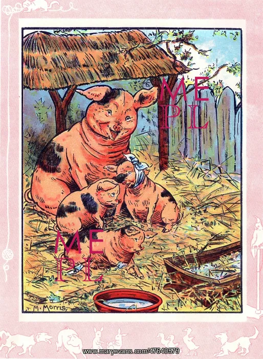 : Mother pig and her piglets : Mother pig and her piglets