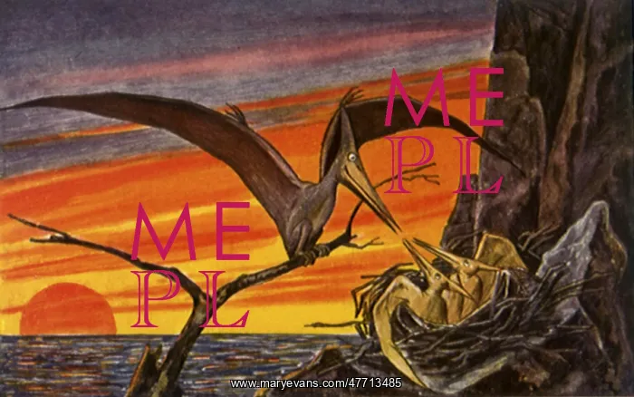 : Mother Pterodactyl : Mother Pterodactyl