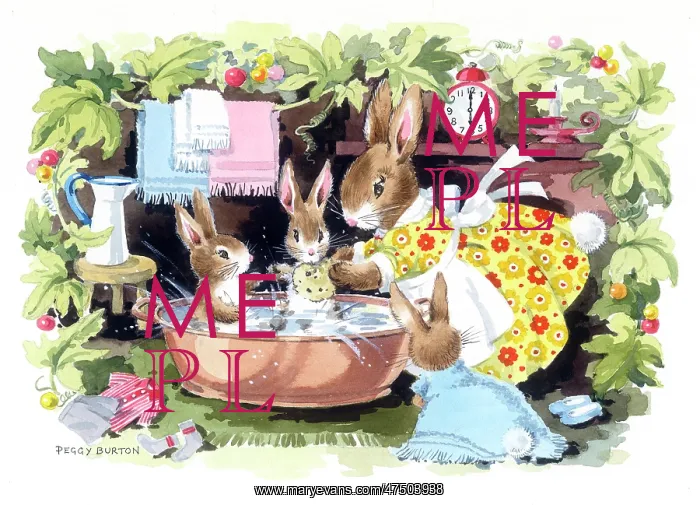 : Mother rabbit bathing young rabbits : Mother rabbit bathing young rabbits