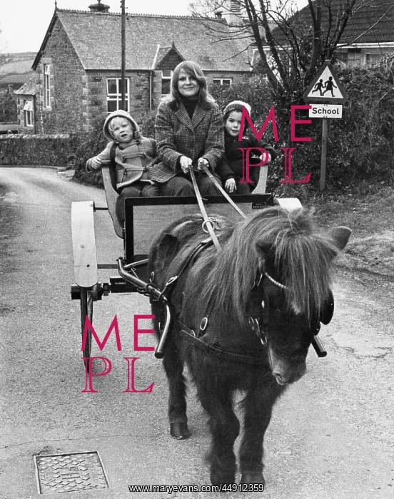 : Mother taking children to school in pony and trap, Cornwall : Mother taking children to school in pony and trap, Cornwall