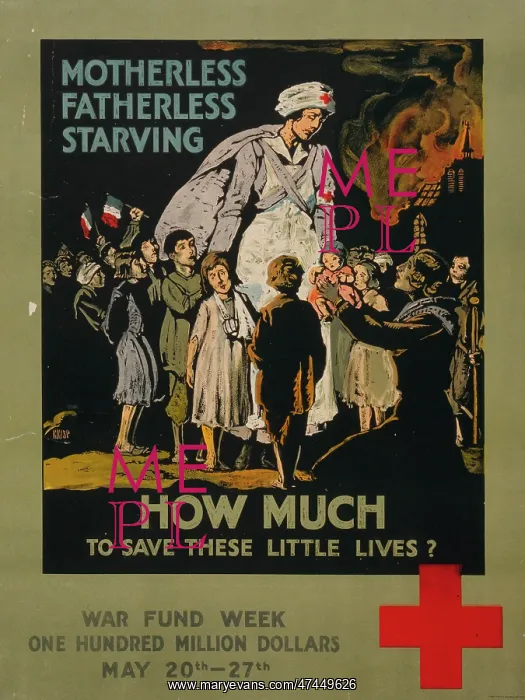 : Motherless, fatherless, starving - How much to save these li : Motherless, fatherless, starving - How much to save these li