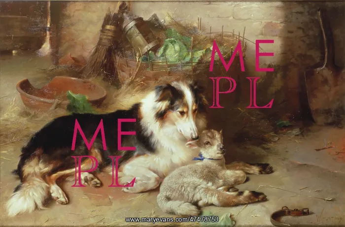 : Motherless ' the Shepherd's Pet : Motherless ' the Shepherd's Pet