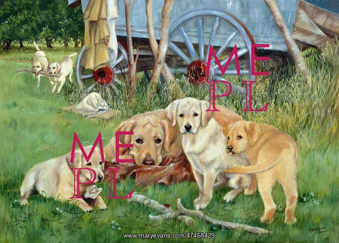 : A Mother's Lot ? Labradors : A Mother's Lot ? Labradors