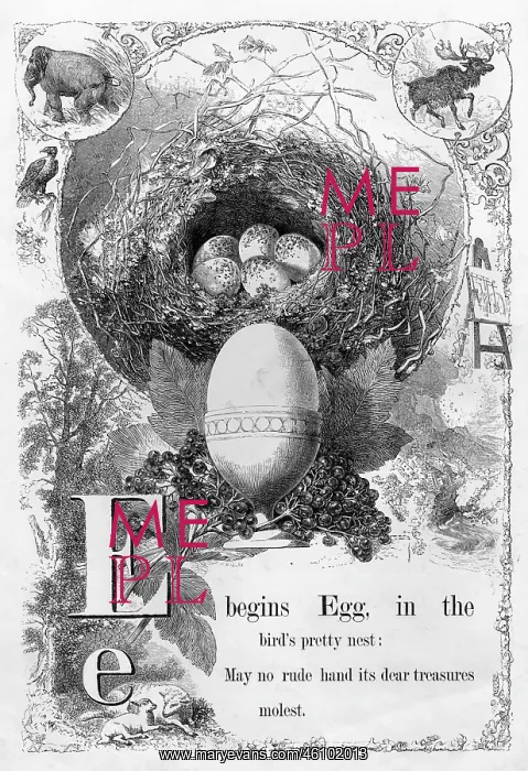 : The Mother's Picture Alphabet -- E : The Mother's Picture Alphabet -- E