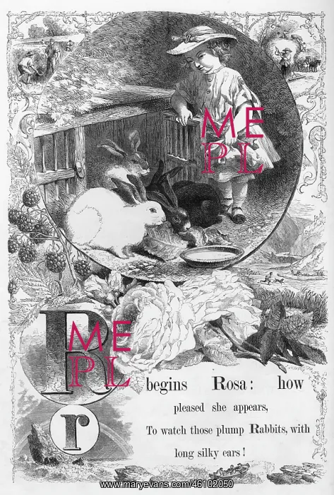 : The Mother's Picture Alphabet -- R : The Mother's Picture Alphabet -- R