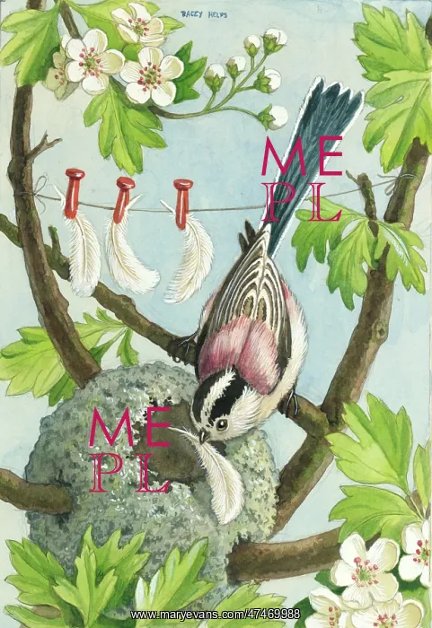 : A Mother's Work is Never Done - bird and nest : A Mother's Work is Never Done - bird and nest