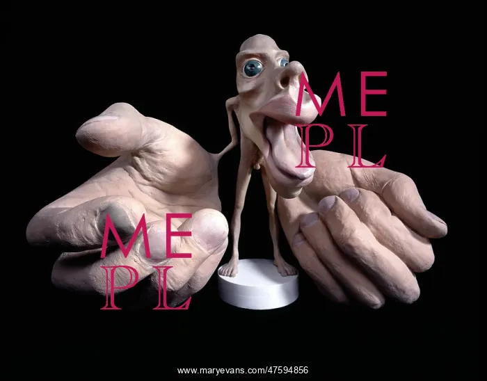 : Motor homunculus : Motor homunculus