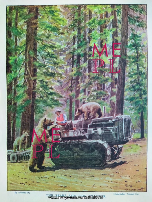 : The Motor Picture Book, The Bears and the Tractor : The Motor Picture Book, The Bears and the Tractor
