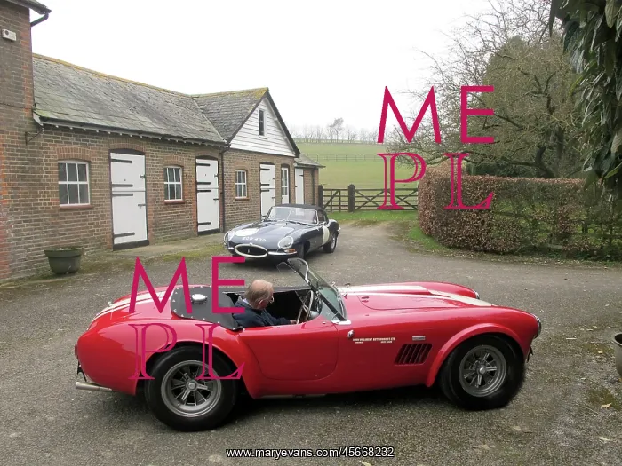 : Motor racing Cobra England : Motor racing Cobra England
