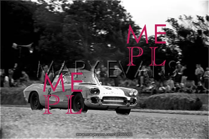 : Motor racing Goodwood, England : Motor racing Goodwood, England