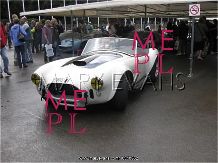 : Motor racing Goodwood UK : Motor racing Goodwood UK