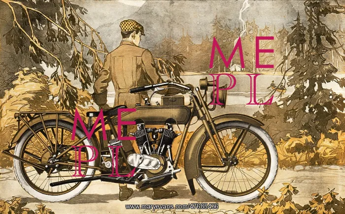 : Motorcycle in Country : Motorcycle in Country