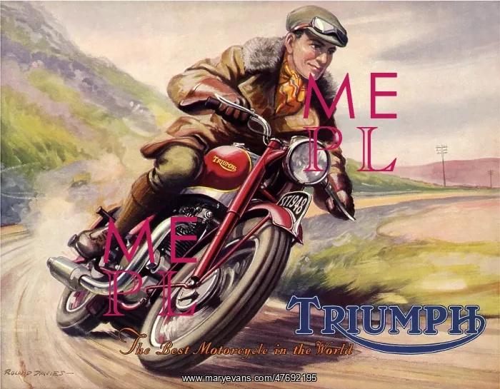 : Motorcycle Rider : Motorcycle Rider