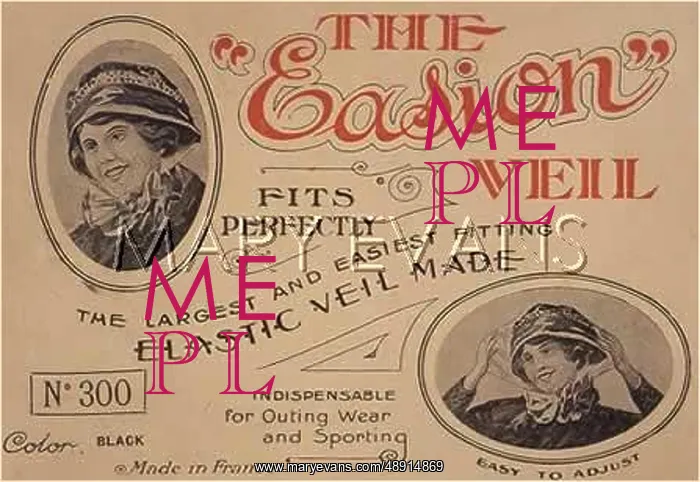 : MOTORING VEIL : MOTORING VEIL