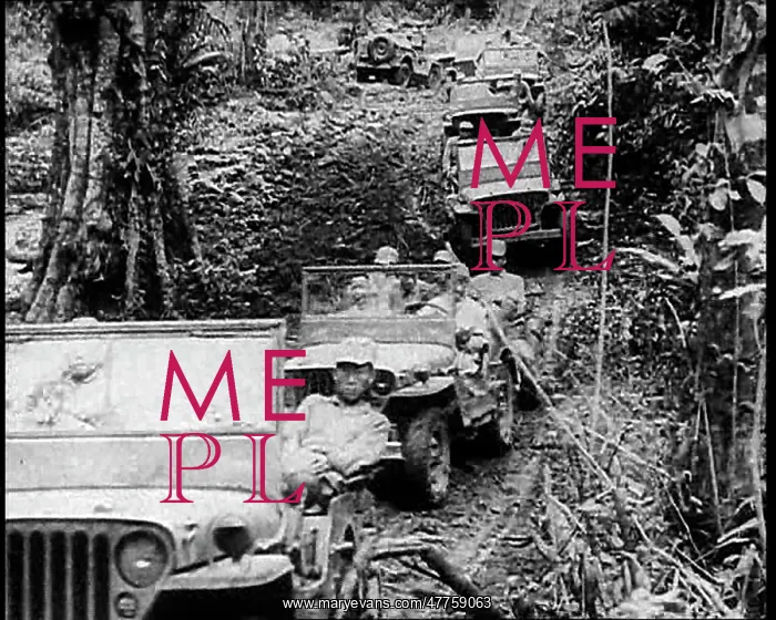 : Motorised Troops Driving Through the Jungle : Motorised Troops Driving Through the Jungle
