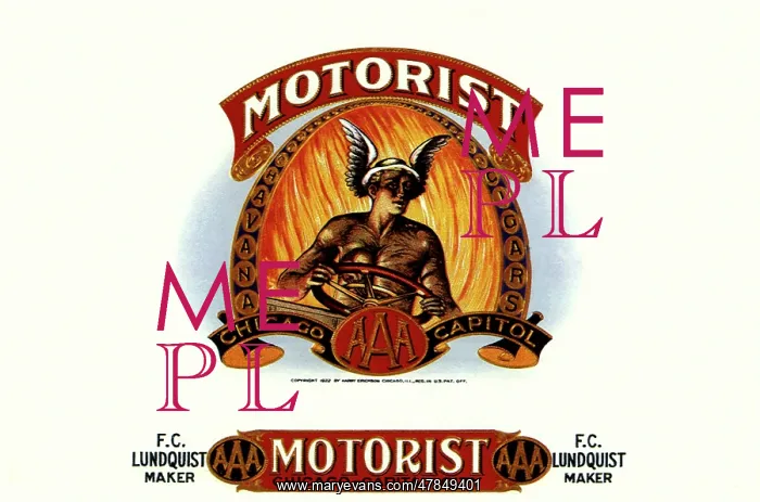  : Motorist