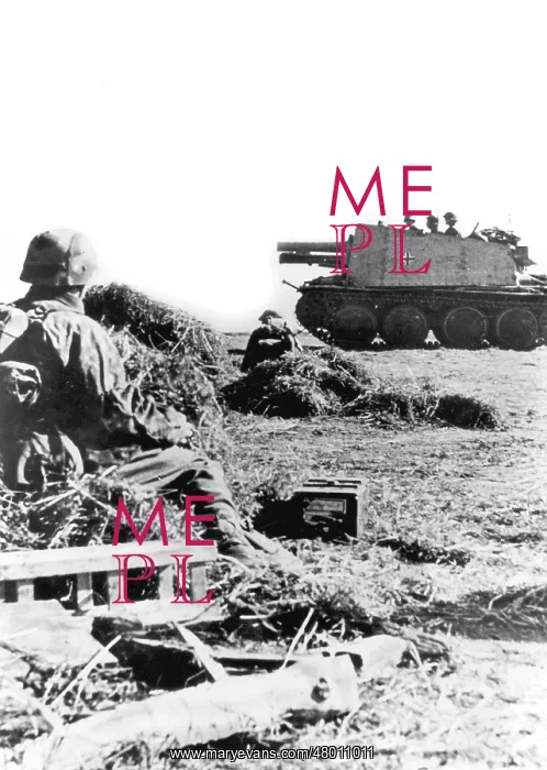 : Motorized infantry gun Bison : Motorized infantry gun Bison