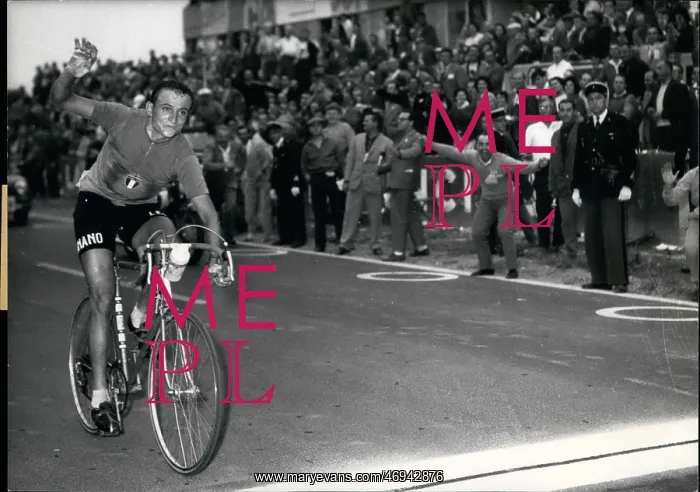 : Motorsport : Motorsport