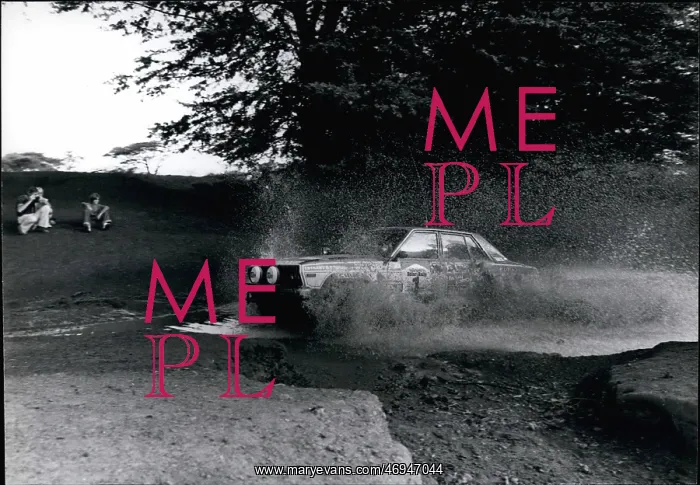 : Motorsport : Motorsport