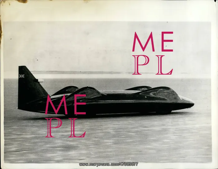 : Motorsport : Motorsport