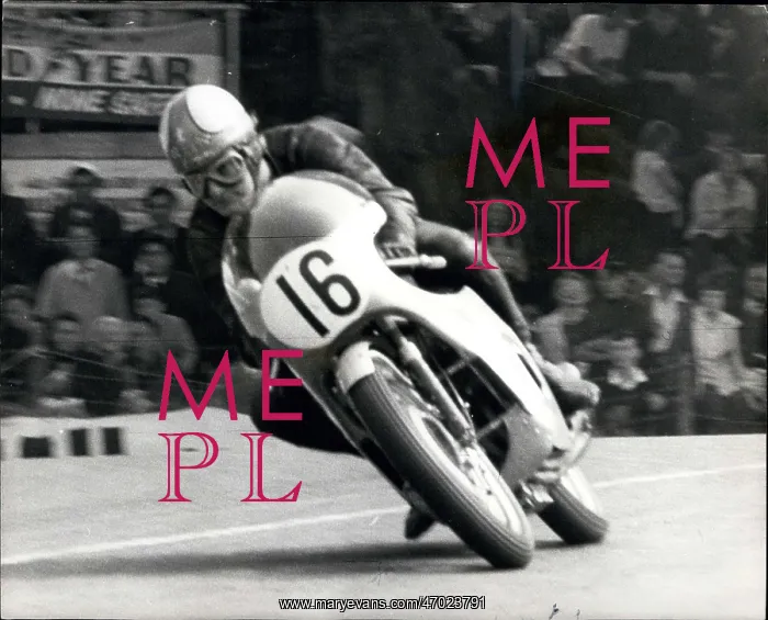 : Motorsport : Motorsport