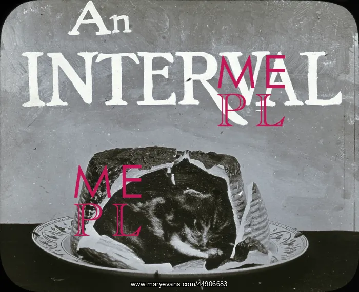 : Mottos - Cat in Cake Interval : Mottos - Cat in Cake Interval