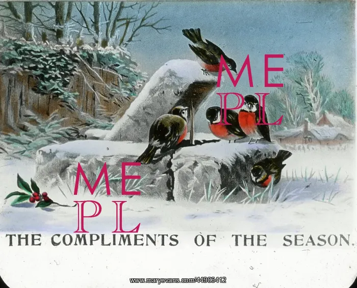 : Mottos - Compliments of the season : Mottos - Compliments of the season