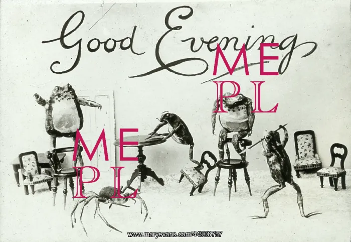 : Mottos - Good Evening : Mottos - Good Evening
