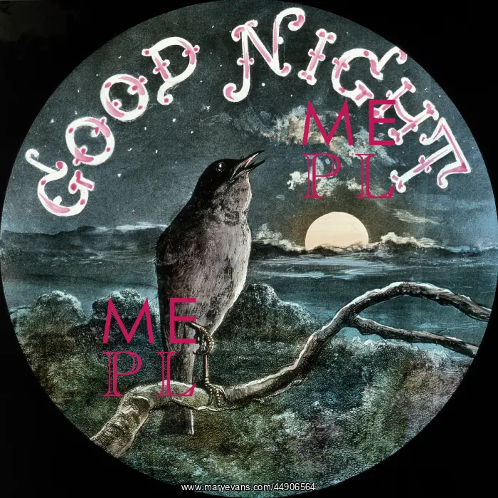 : Mottos - Good Night