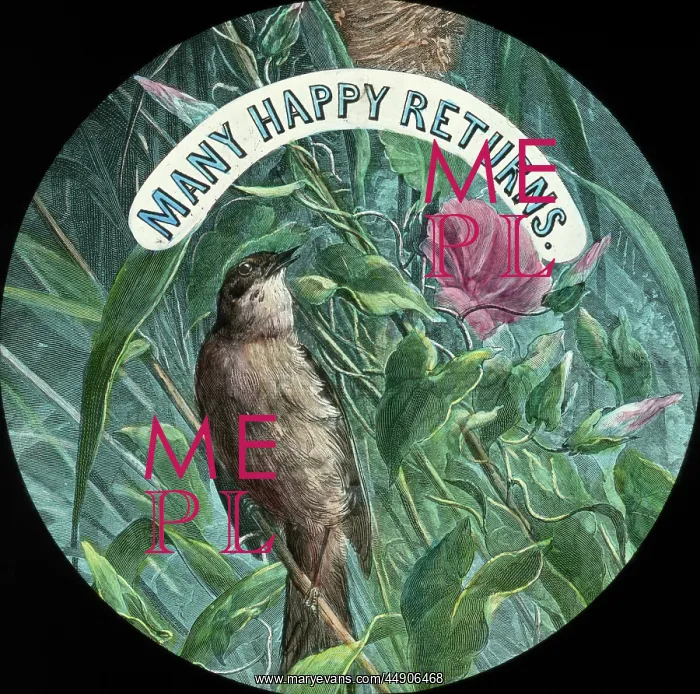 : Mottos - Many Happy Returns : Mottos - Many Happy Returns