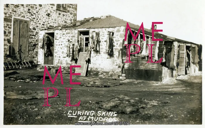 : Moudros, Lemnos, Greece - Curing Skins : Moudros, Lemnos, Greece - Curing Skins