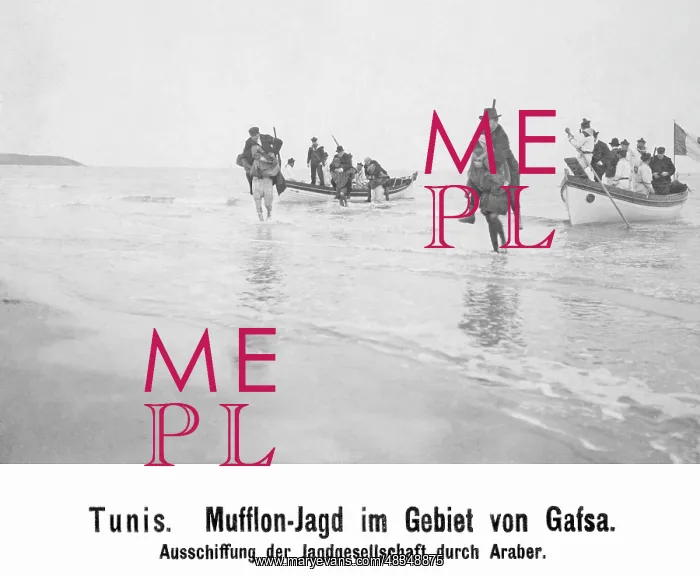 : Mouflon hunting in Tunisia, 1904 : Mouflon hunting in Tunisia, 1904