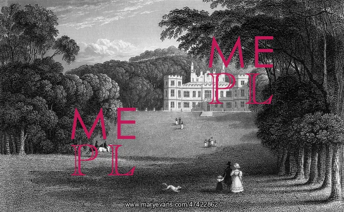 : Mount Edgcumbe, Devon : Mount Edgcumbe, Devon