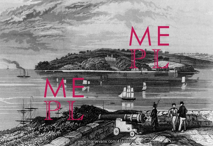  : Mount Edgcumbe, Devon