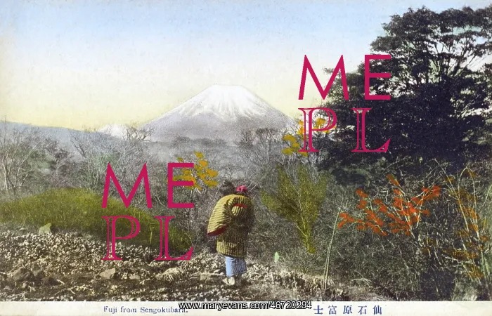 : Mount Fuji, Japan - from Sengokubara : Mount Fuji, Japan - from Sengokubara