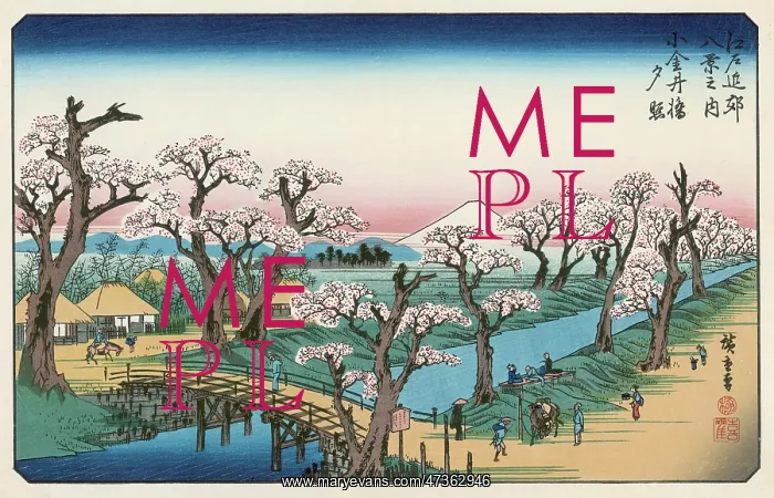 : MOUNT FUJI IN SPRINGTIME : MOUNT FUJI IN SPRINGTIME