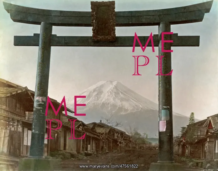  : Mount Fuji and Torii, Japan