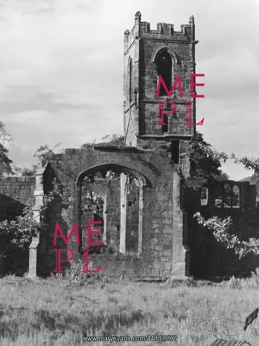 : MOUNT GRACE PRIORY : MOUNT GRACE PRIORY
