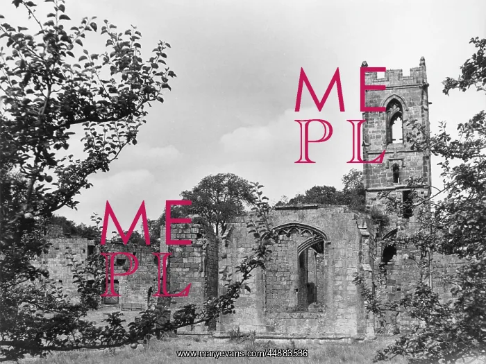 : MOUNT GRACE PRIORY : MOUNT GRACE PRIORY