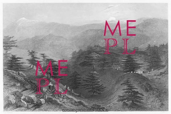  : MOUNT LEBANON / CEDARS