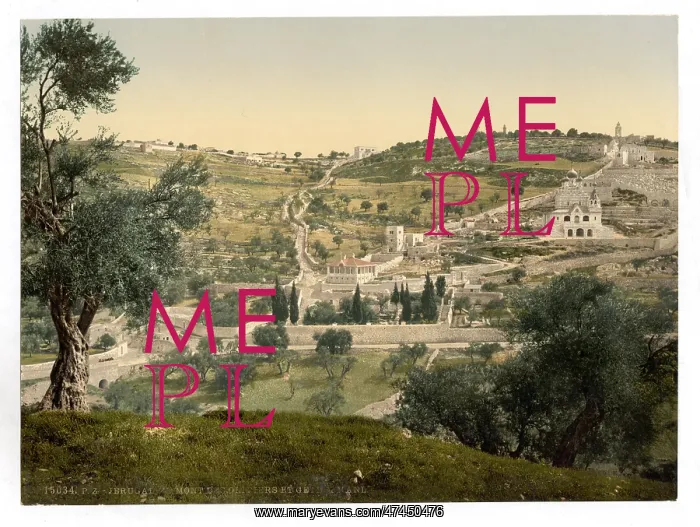 : Mount of Olives and Gethsemane, general view, Jerusalem : Mount of Olives and Gethsemane, general view, Jerusalem