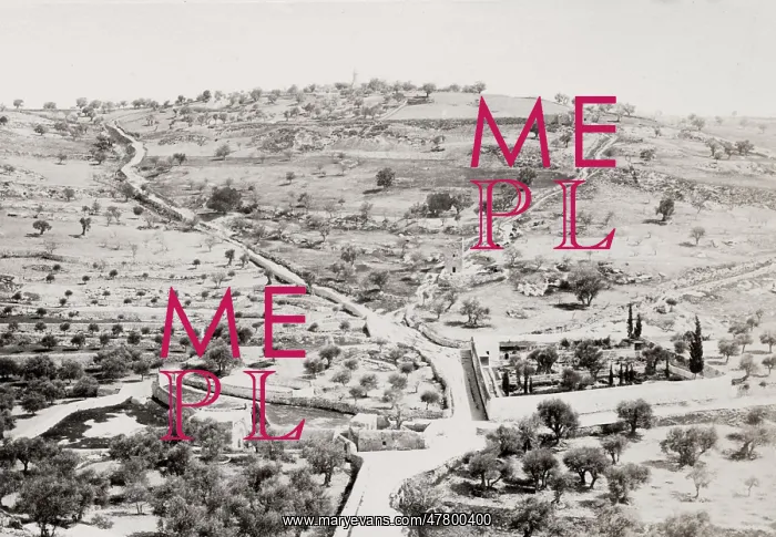 : Mount of Olives, Jerusalem, Palestine, modern Israel : Mount of Olives, Jerusalem, Palestine, modern Israel
