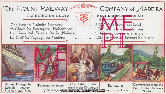 : Mount Railway Company of Madeira : Mount Railway Company of Madeira
