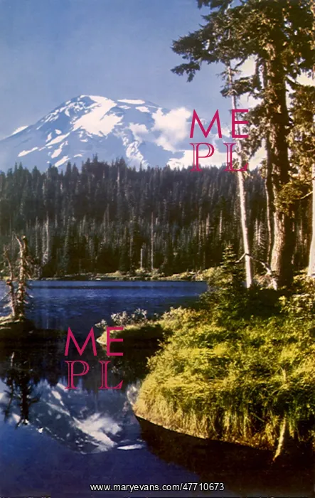  : Mount Rainier