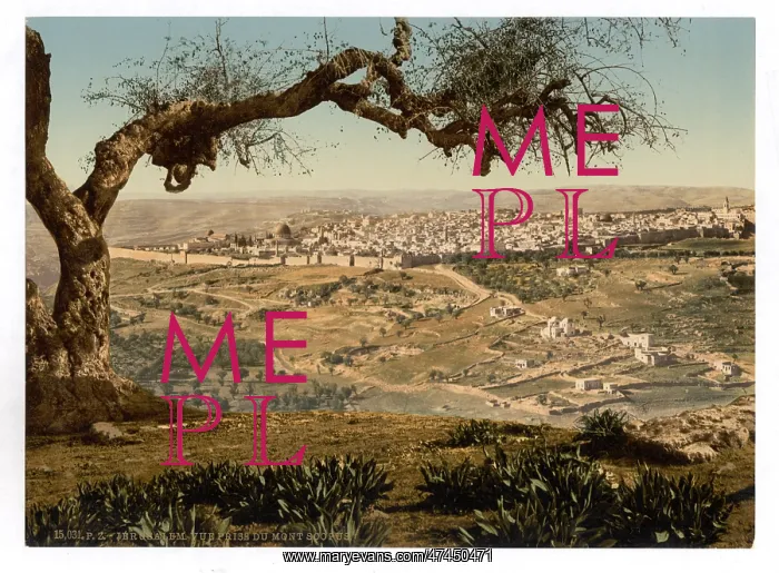 : From Mount Scopus, Jerusalem, Holy Land : From Mount Scopus, Jerusalem, Holy Land