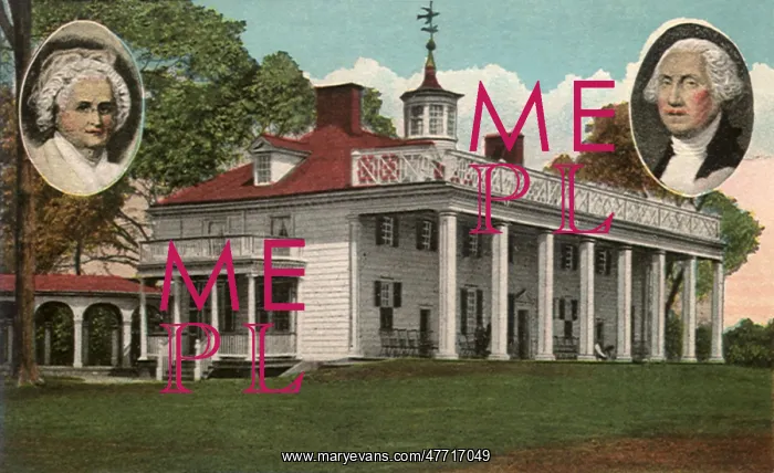 : Mount Vernon : Mount Vernon