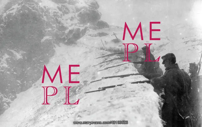 : Mountain emplacement, 1916 : Mountain emplacement, 1916