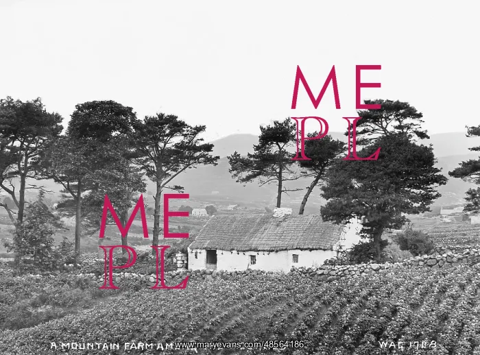 : A Mountain Farm in the Mournes : A Mountain Farm in the Mournes