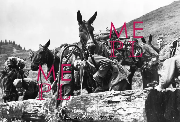 : Mountain infantry during an ecxercise, 1936 : Mountain infantry during an ecxercise, 1936