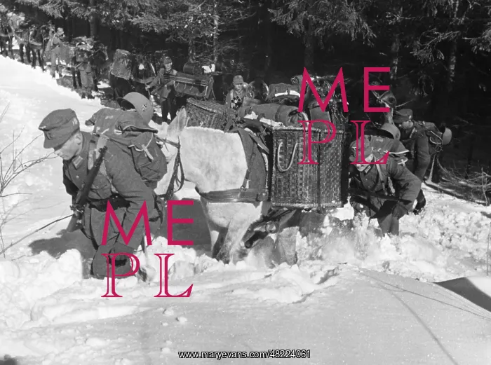 : Mountain infantry during a march : Mountain infantry during a march